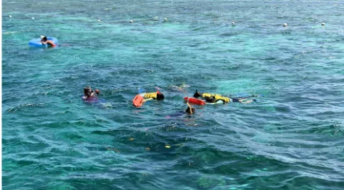 [여행후기  ] 두번째 세부 방문에서의 호핑투어...