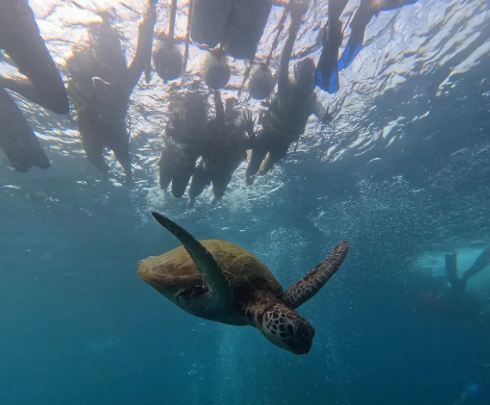 헨리 가이드님과 세부 여행 후기
