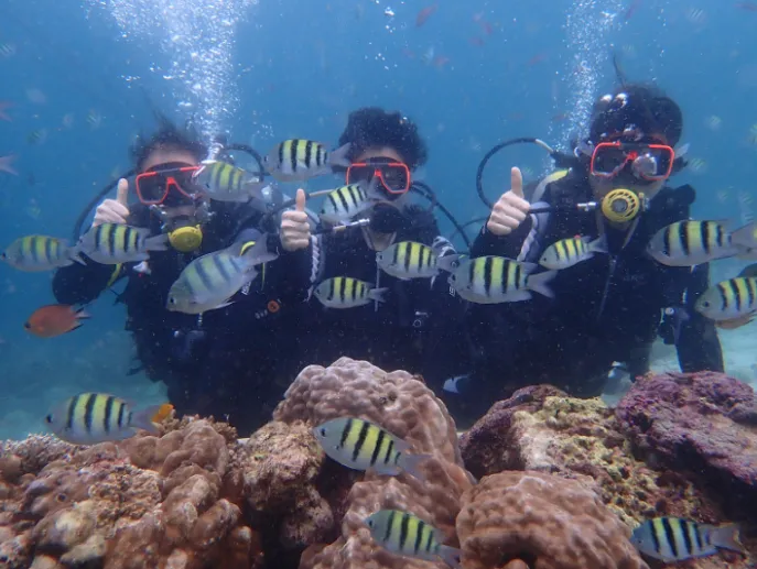 많이 용감해진 세부여행~~