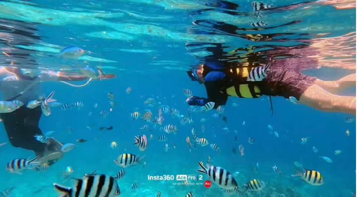 [여행후기  ] 3월 세부여행(25~29일) : Nadia가이드님과 함께한 잊지못할 4박5일