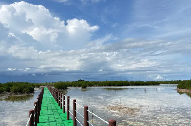 [여행후기  ] 3대가족 세부여행 성공적! (with Henry)