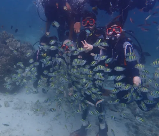 [여행후기  ] 잊지 못할 세부여행 (with Henry 가이드님)