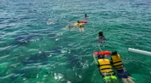 [여행후기]3박5일 세부여행 후기