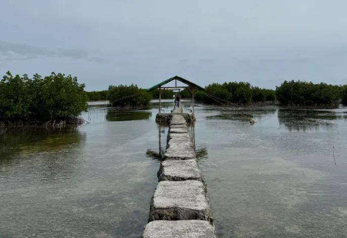 [여행후기]오히려 시원했던 여행 with Jack and typhoon