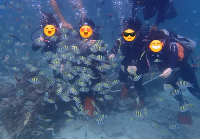 [여행후기  ] 7인 대가족 세부 3박 5일 정복기! 나디아 가이드님 덕분에 '슈퍼맨 아빠' 됐습니다 (사진 대방출)